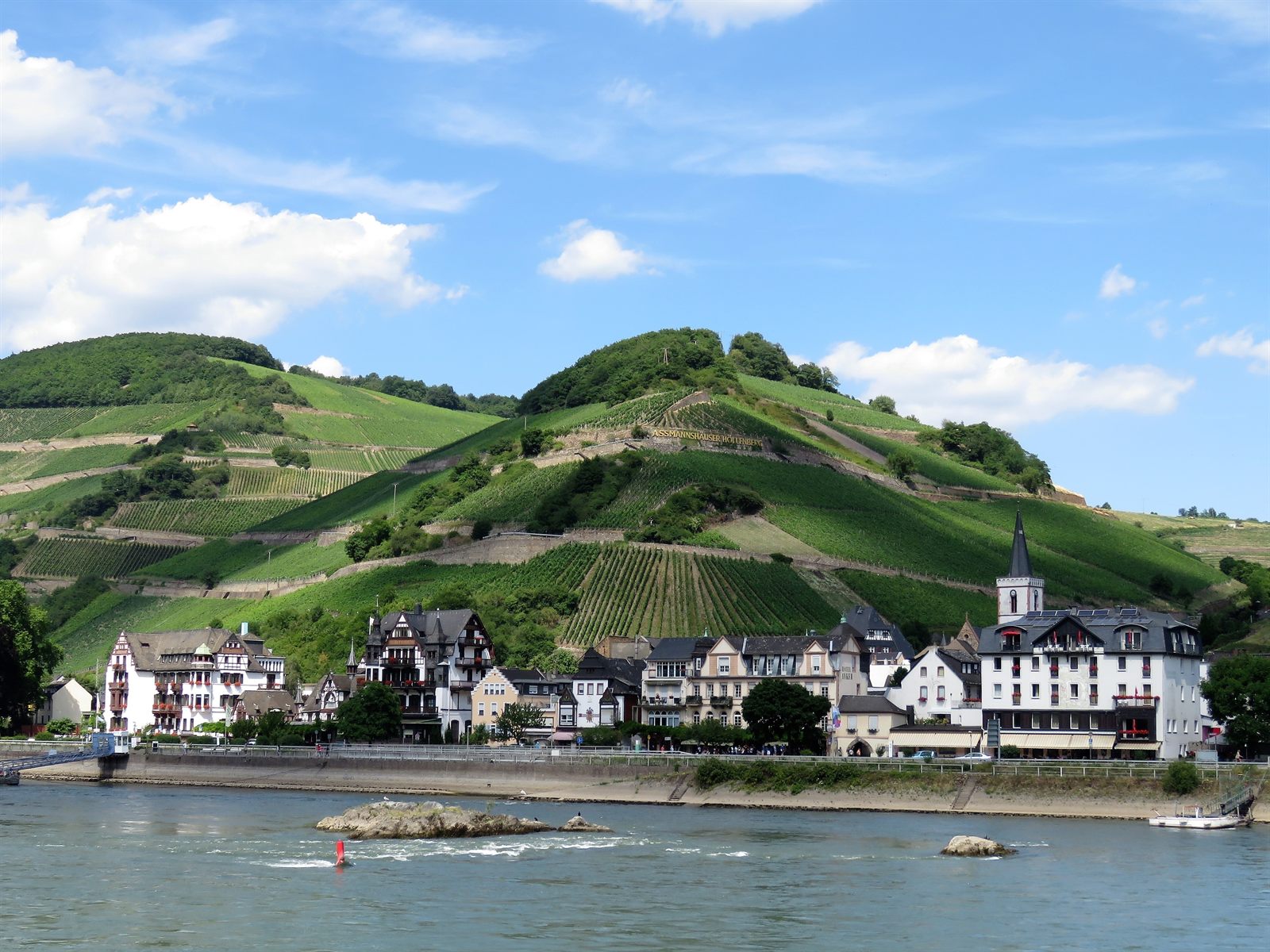 Rhine village below vineyard slopes